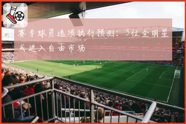 赛季球员选项执行预测:5位全明星或进入自由市场