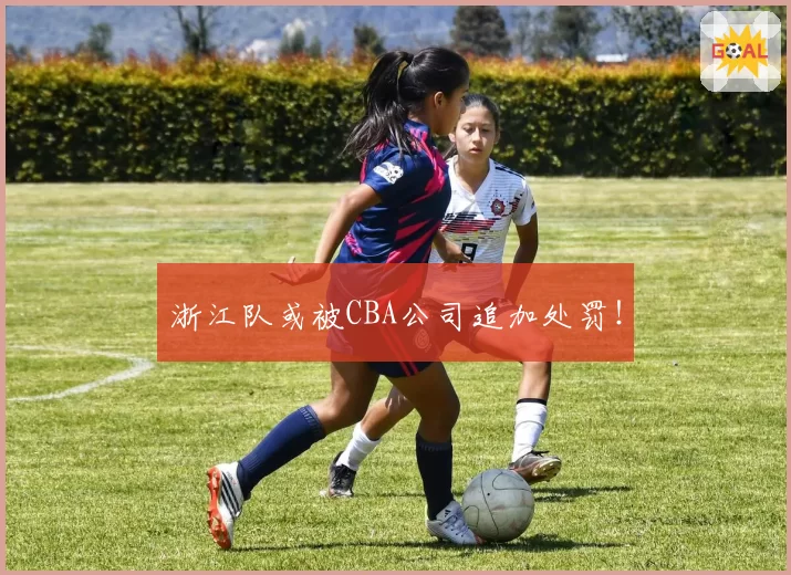 浙江队或被CBA公司追加处罚！