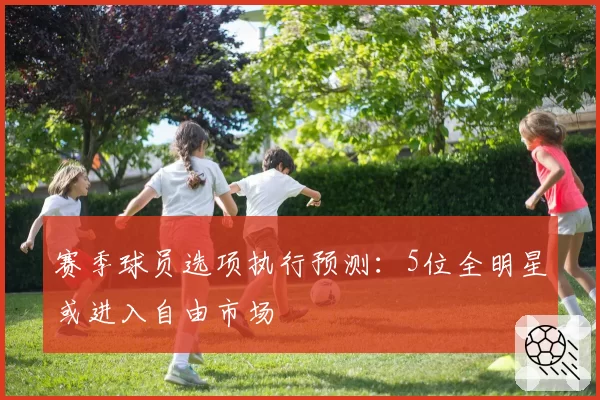 赛季球员选项执行预测:5位全明星或进入自由市场